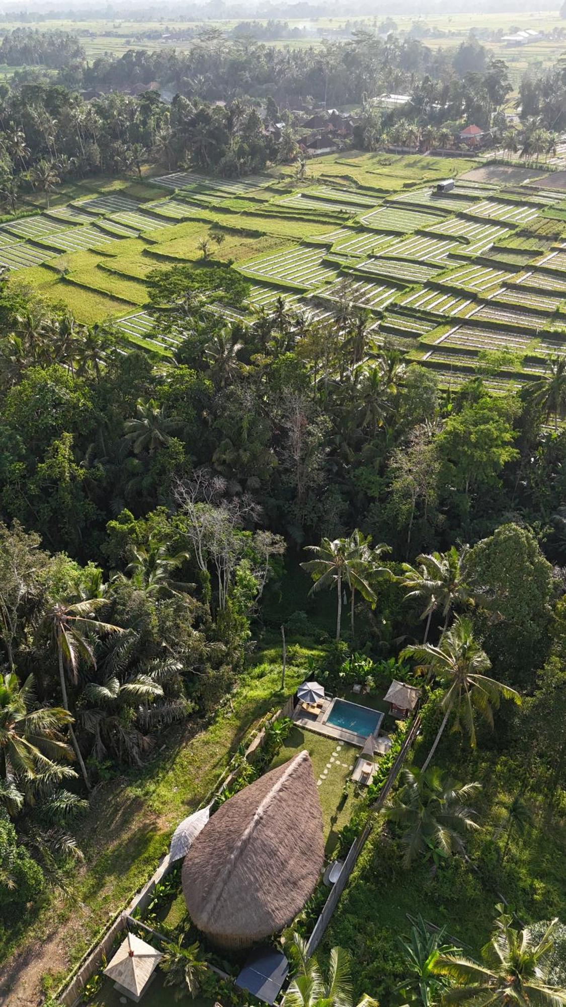 Pitu, A Punggul Village Escape Sangeh Exterior photo